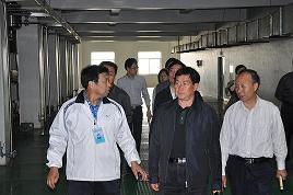 河北省委常委、副省長(zhǎng)楊崇勇到我公司視察